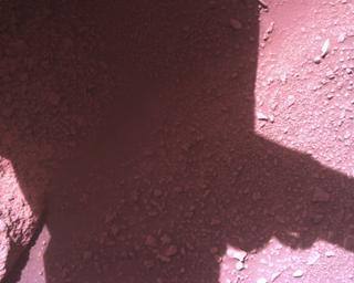View image taken on Mars, Mars Perseverance Sol 821: Rover Down-Look Camera