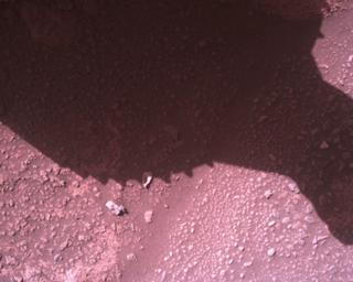 View image taken on Mars, Mars Perseverance Sol 821: Rover Down-Look Camera