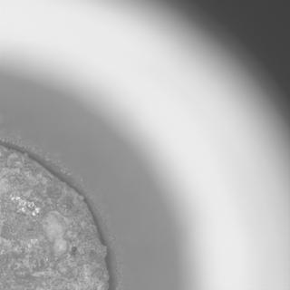 View image taken on Mars, Mars Perseverance Sol 822: Sample Caching System Camera (CacheCam)