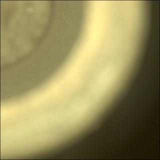 View image taken on Mars, Mars Perseverance Sol 822: Sample Caching System Camera (CacheCam)