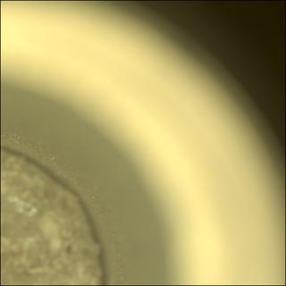 View image taken on Mars, Mars Perseverance Sol 822: Sample Caching System Camera (CacheCam)