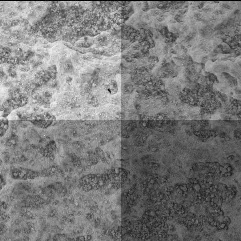 This image was taken by SHERLOC_WATSON onboard NASA's Mars rover Perseverance on Sol 822