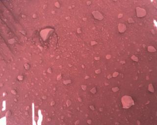 View image taken on Mars, Mars Perseverance Sol 831: Rover Down-Look Camera