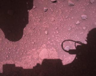 View image taken on Mars, Mars Perseverance Sol 831: Rover Down-Look Camera
