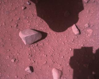 View image taken on Mars, Mars Perseverance Sol 831: Rover Down-Look Camera