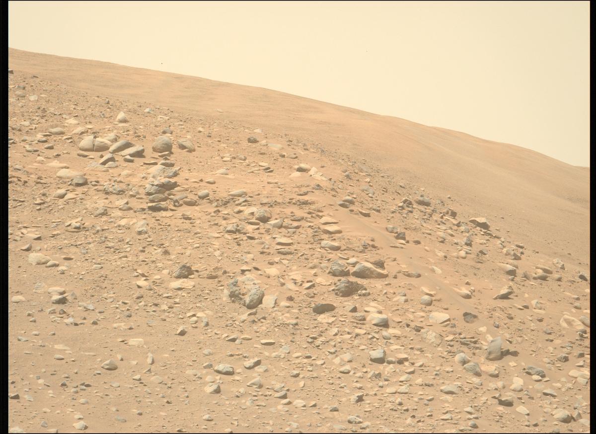 This image was taken by MCZ_LEFT onboard NASA's Mars rover Perseverance on Sol 832
