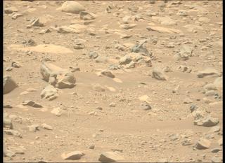 View image taken on Mars, Mars Perseverance Sol 837: Left Mastcam-Z Camera