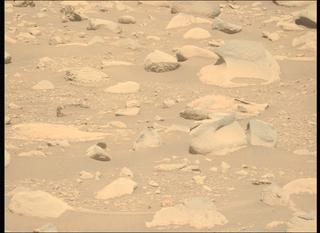 View image taken on Mars, Mars Perseverance Sol 837: Left Mastcam-Z Camera