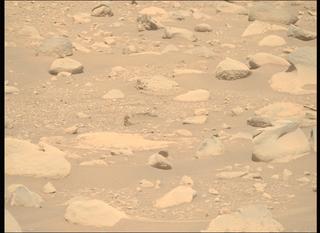View image taken on Mars, Mars Perseverance Sol 837: Right Mastcam-Z Camera