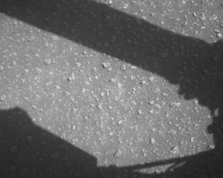 View image taken on Mars, Mars Perseverance Sol 840: Rover Down-Look Camera