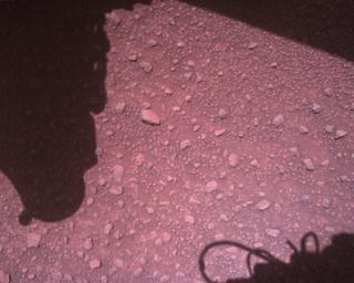 View image taken on Mars, Mars Perseverance Sol 840: Rover Down-Look Camera