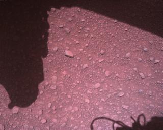 View image taken on Mars, Mars Perseverance Sol 840: Rover Down-Look Camera