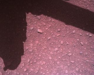 View image taken on Mars, Mars Perseverance Sol 840: Rover Down-Look Camera