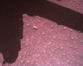 View image taken on Mars, Mars Perseverance Sol 840: Rover Down-Look Camera