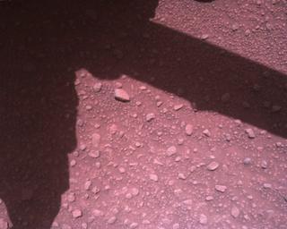 View image taken on Mars, Mars Perseverance Sol 840: Rover Down-Look Camera