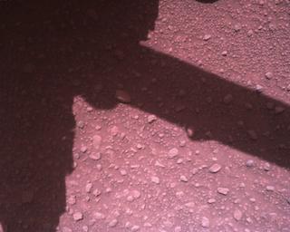 View image taken on Mars, Mars Perseverance Sol 840: Rover Down-Look Camera