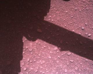 View image taken on Mars, Mars Perseverance Sol 840: Rover Down-Look Camera