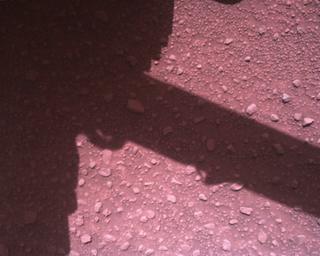 View image taken on Mars, Mars Perseverance Sol 840: Rover Down-Look Camera