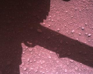 View image taken on Mars, Mars Perseverance Sol 840: Rover Down-Look Camera