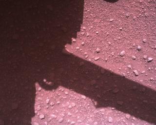 View image taken on Mars, Mars Perseverance Sol 840: Rover Down-Look Camera