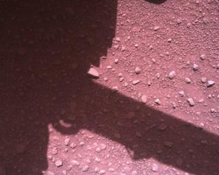 View image taken on Mars, Mars Perseverance Sol 840: Rover Down-Look Camera
