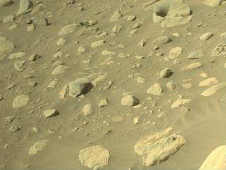 View image taken on Mars, Mars Perseverance Sol 843: Right Navigation Camera (Navcam)