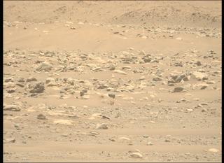 View image taken on Mars, Mars Perseverance Sol 843: Left Mastcam-Z Camera