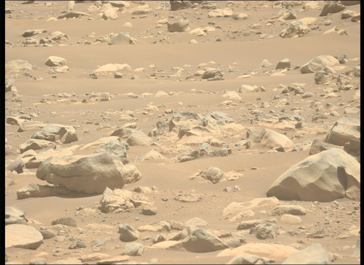 This image was taken by MCZ_LEFT onboard NASA's Mars rover Perseverance on Sol 843