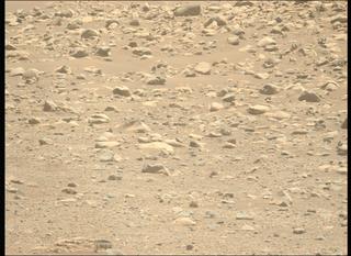 View image taken on Mars, Mars Perseverance Sol 843: Left Mastcam-Z Camera