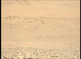 View image taken on Mars, Mars Perseverance Sol 843: Left Mastcam-Z Camera