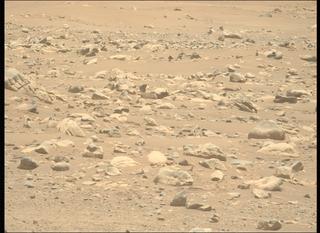 View image taken on Mars, Mars Perseverance Sol 843: Left Mastcam-Z Camera