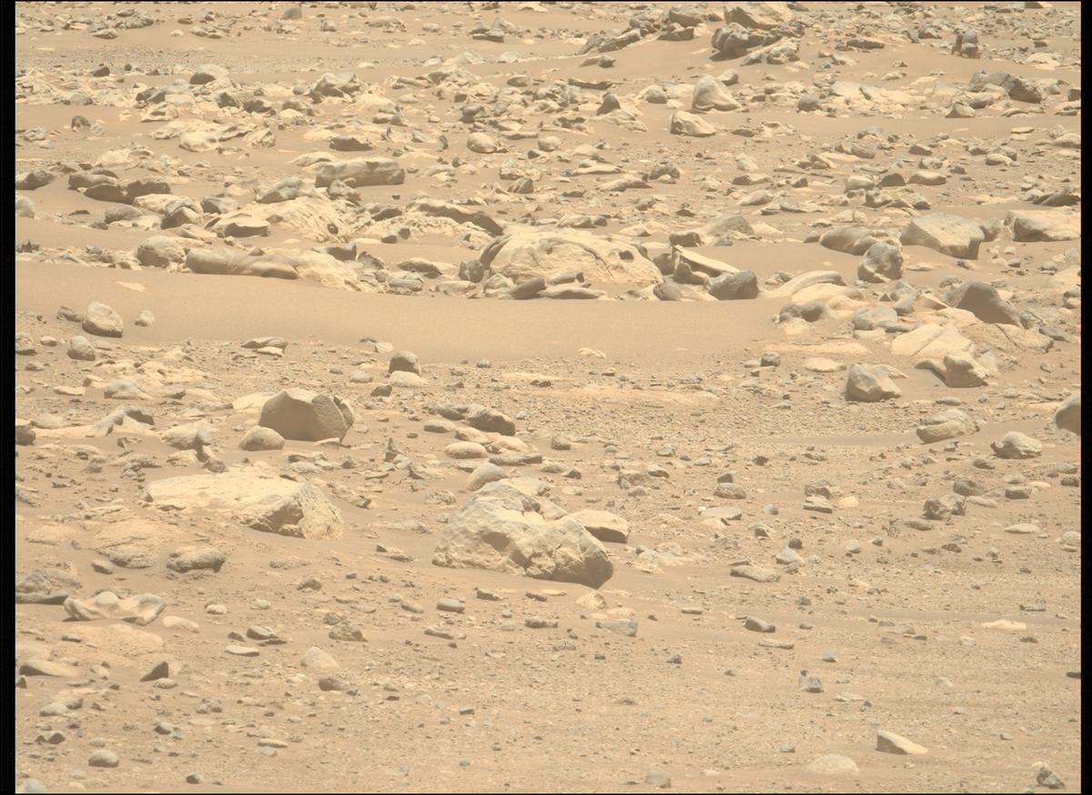 This image was taken by MCZ_LEFT onboard NASA's Mars rover Perseverance on Sol 843