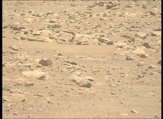 View image taken on Mars, Mars Perseverance Sol 843: Left Mastcam-Z Camera