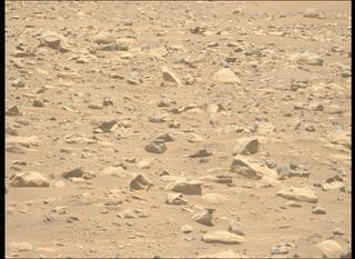 View image taken on Mars, Mars Perseverance Sol 843: Left Mastcam-Z Camera