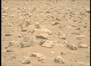 View image taken on Mars, Mars Perseverance Sol 843: Left Mastcam-Z Camera