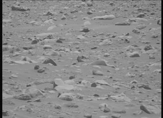 View image taken on Mars, Mars Perseverance Sol 843: Left Mastcam-Z Camera