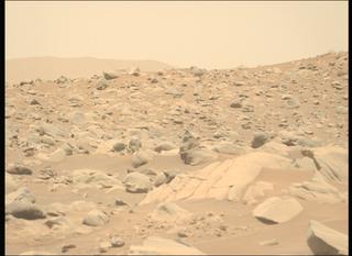 View image taken on Mars, Mars Perseverance Sol 843: Left Mastcam-Z Camera