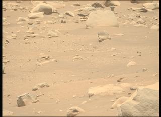View image taken on Mars, Mars Perseverance Sol 843: Left Mastcam-Z Camera