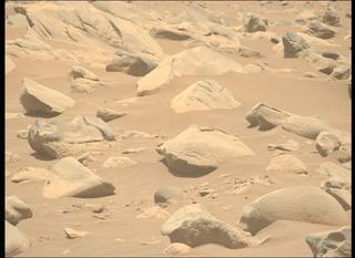 View image taken on Mars, Mars Perseverance Sol 843: Left Mastcam-Z Camera