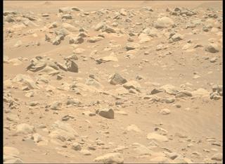 View image taken on Mars, Mars Perseverance Sol 843: Left Mastcam-Z Camera