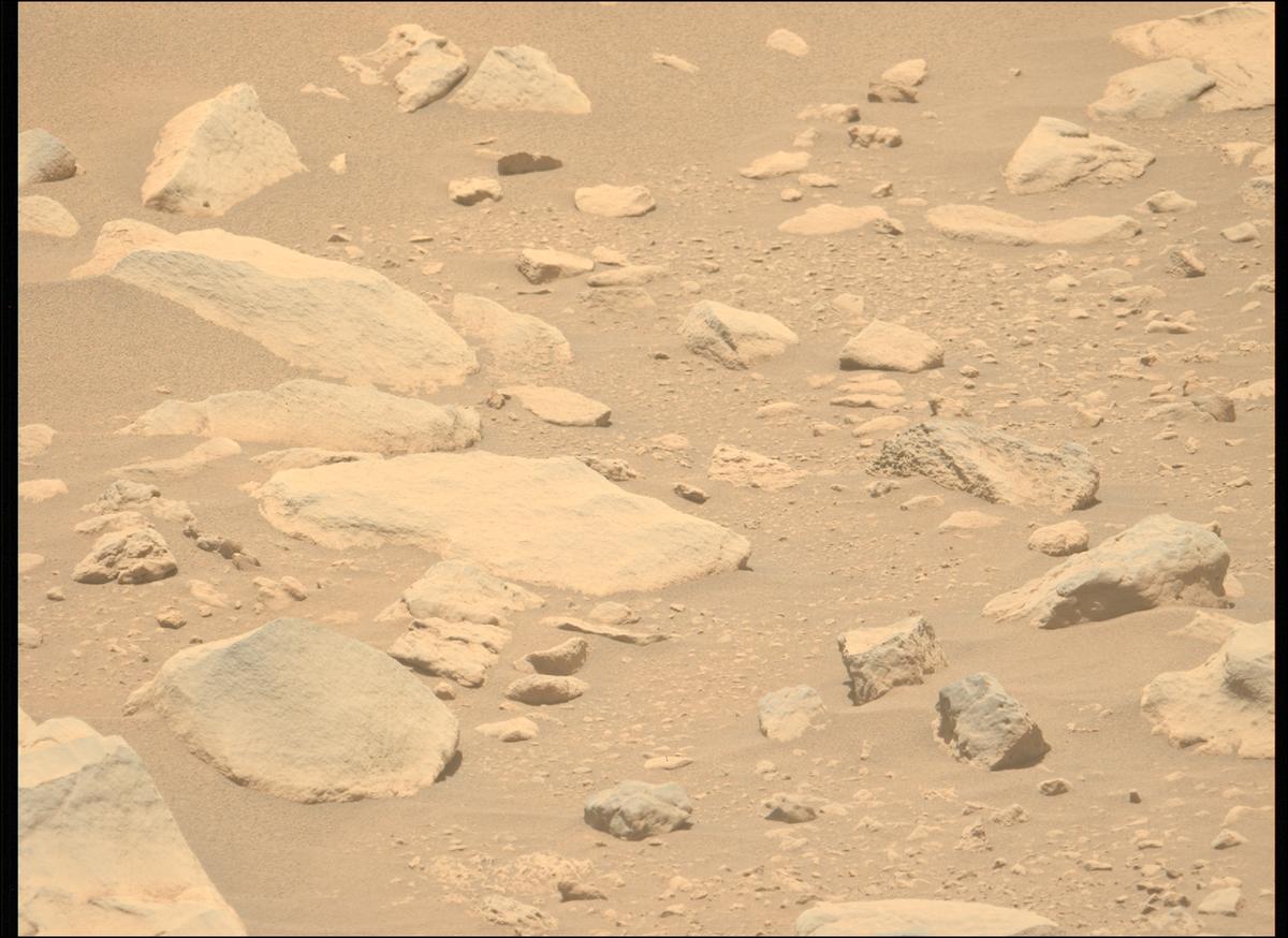 This image was taken by MCZ_LEFT onboard NASA's Mars rover Perseverance on Sol 843