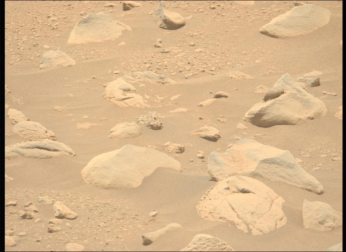 This image was taken by MCZ_LEFT onboard NASA's Mars rover Perseverance on Sol 843
