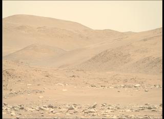 View image taken on Mars, Mars Perseverance Sol 843: Right Mastcam-Z Camera