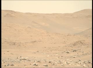View image taken on Mars, Mars Perseverance Sol 843: Right Mastcam-Z Camera