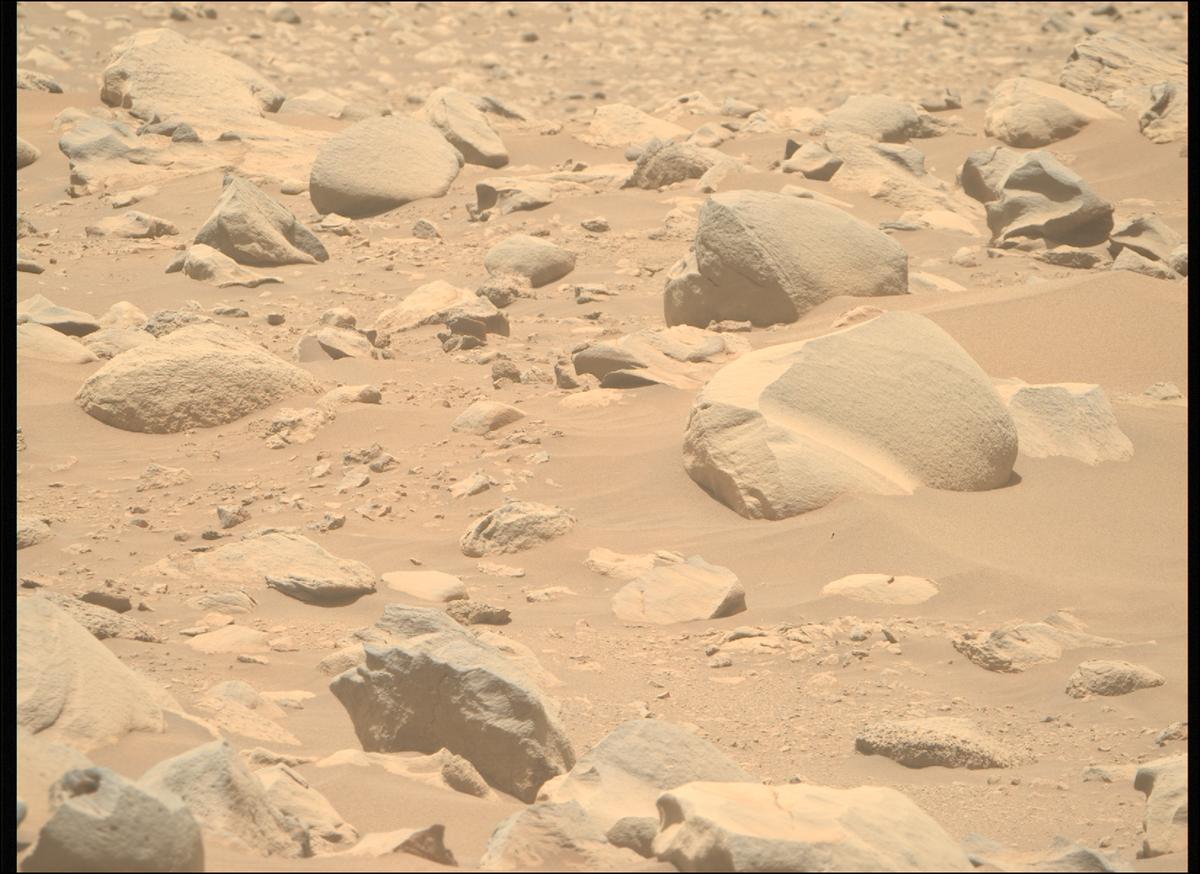 This image was taken by MCZ_RIGHT onboard NASA's Mars rover Perseverance on Sol 843