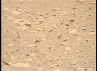 View image taken on Mars, Mars Perseverance Sol 843: Right Mastcam-Z Camera