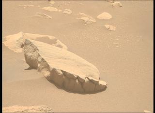 View image taken on Mars, Mars Perseverance Sol 843: Right Mastcam-Z Camera