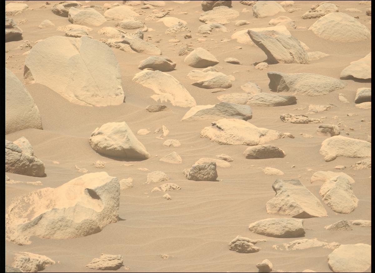 This image was taken by MCZ_LEFT onboard NASA's Mars rover Perseverance on Sol 845
