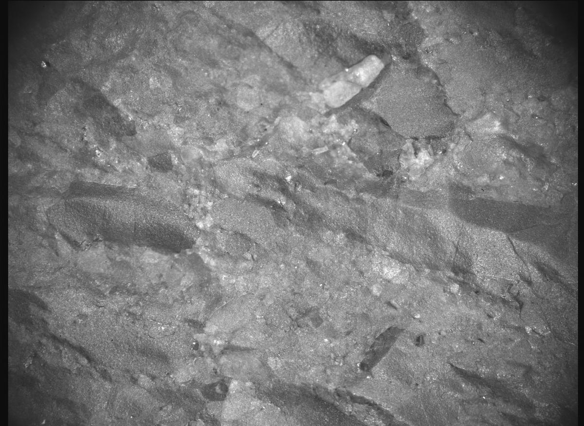 This image was taken by SHERLOC_ACI onboard NASA's Mars rover Perseverance on Sol 847
