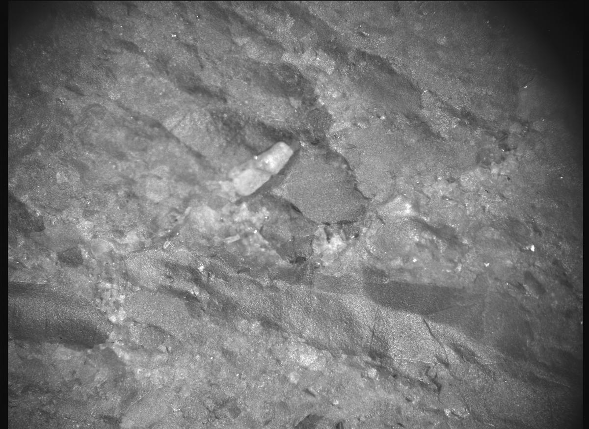 This image was taken by SHERLOC_ACI onboard NASA's Mars rover Perseverance on Sol 847
